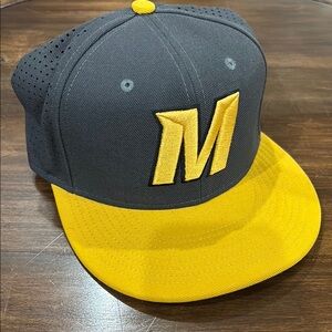Gray & Gold Nike MIZZOU Hat